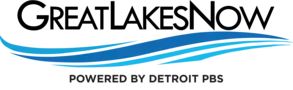 Publication logo