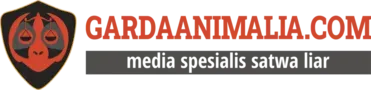 Publication logo