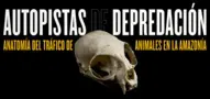 Publication logo