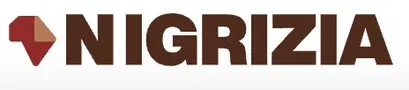 Publication logo