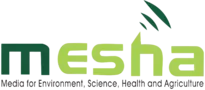 Publication logo