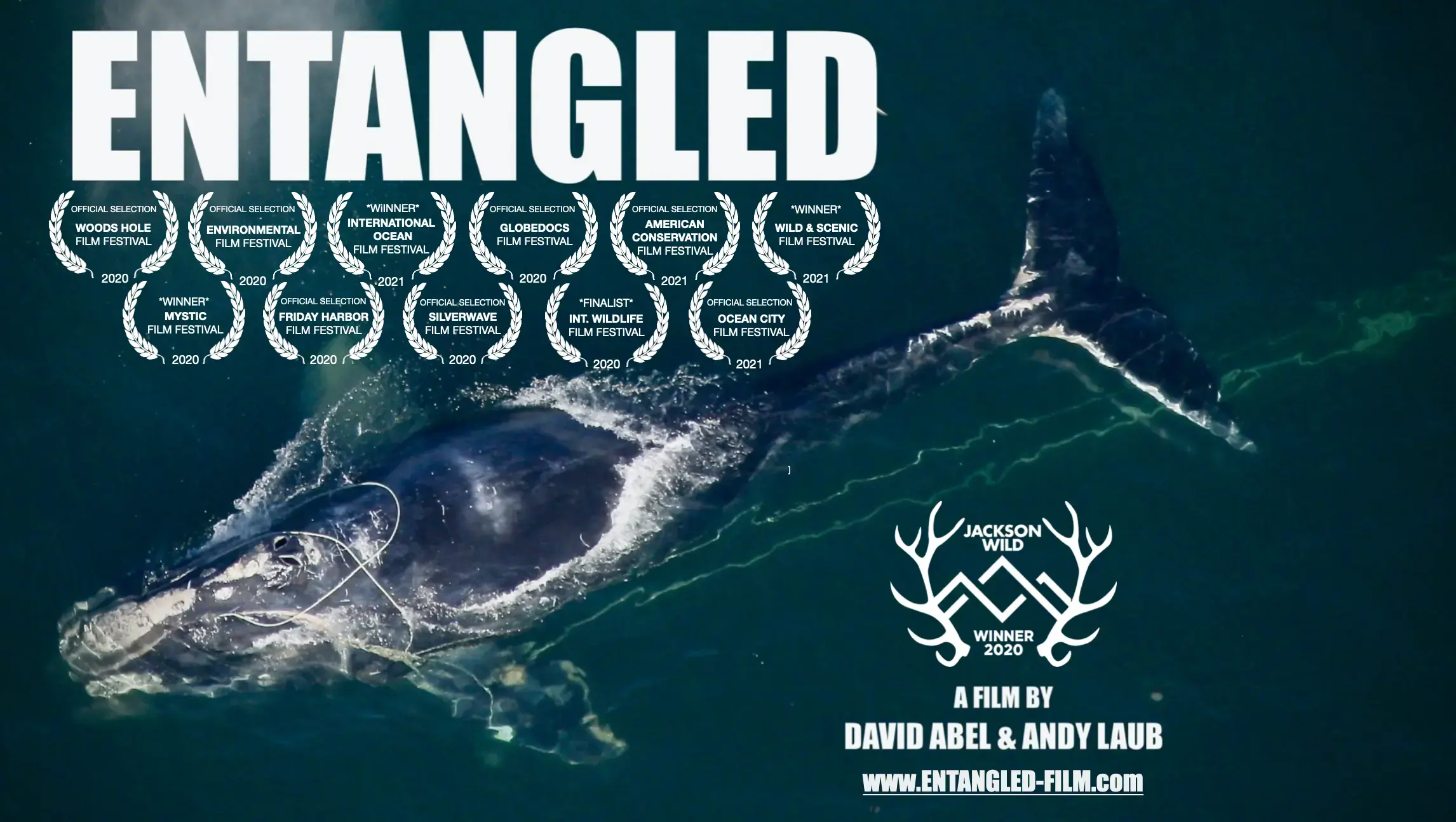 Horizontal Poster 3.26.21.png Entangled film by David Abel and Andy Laub
