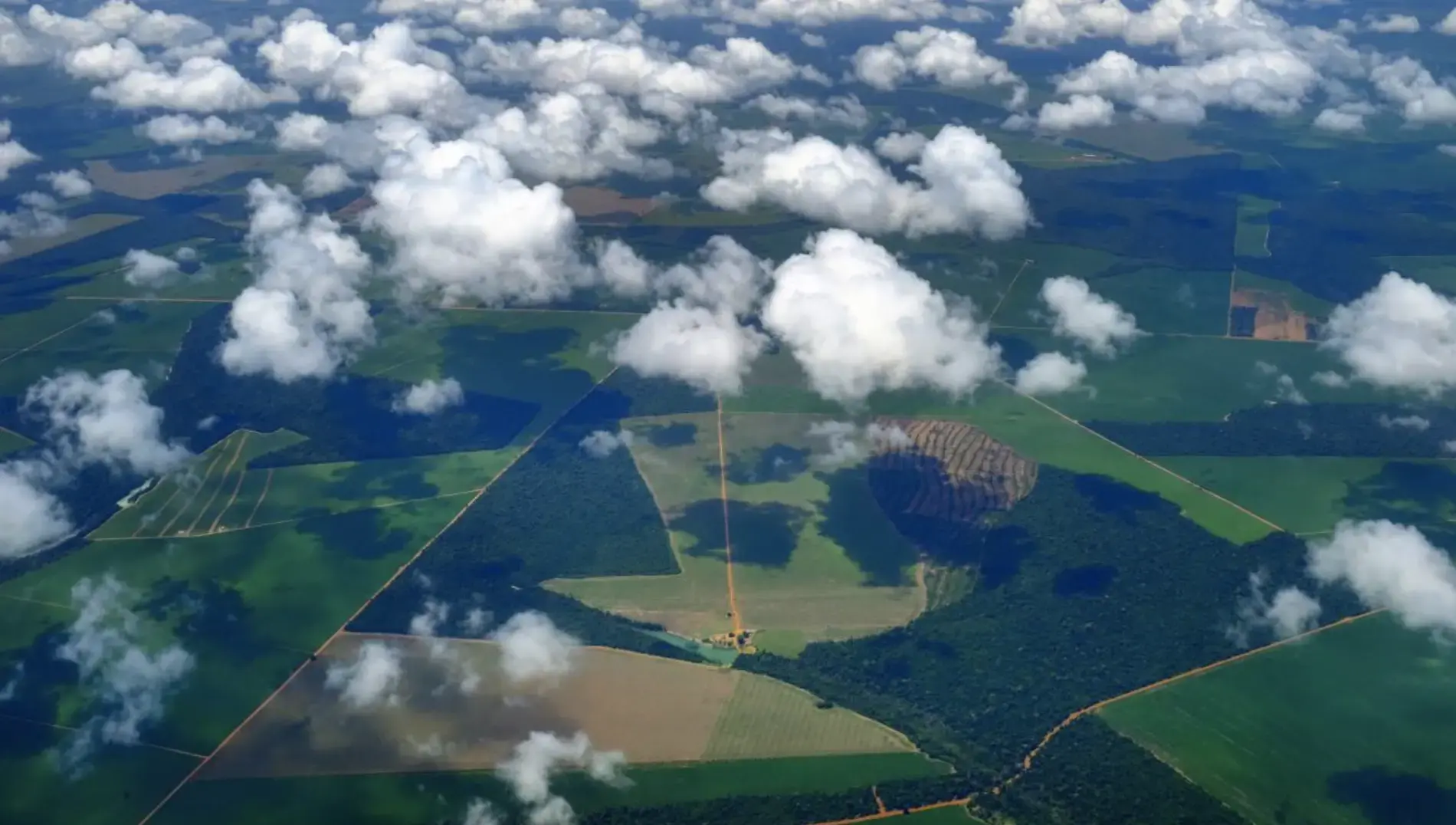 Vista del municipio de Sinop desde las alturas, donde se aprecian las áreas de selva junto a los campos de cultivo industriales. El de la soja ha llevado a esta ciudad del Estado brasileño de Mato Grosso a prosperar hasta el punto de tener una renta per cápita un 40% superior a la media del país. Foto de Melissa Chan. Brasil, 2020.