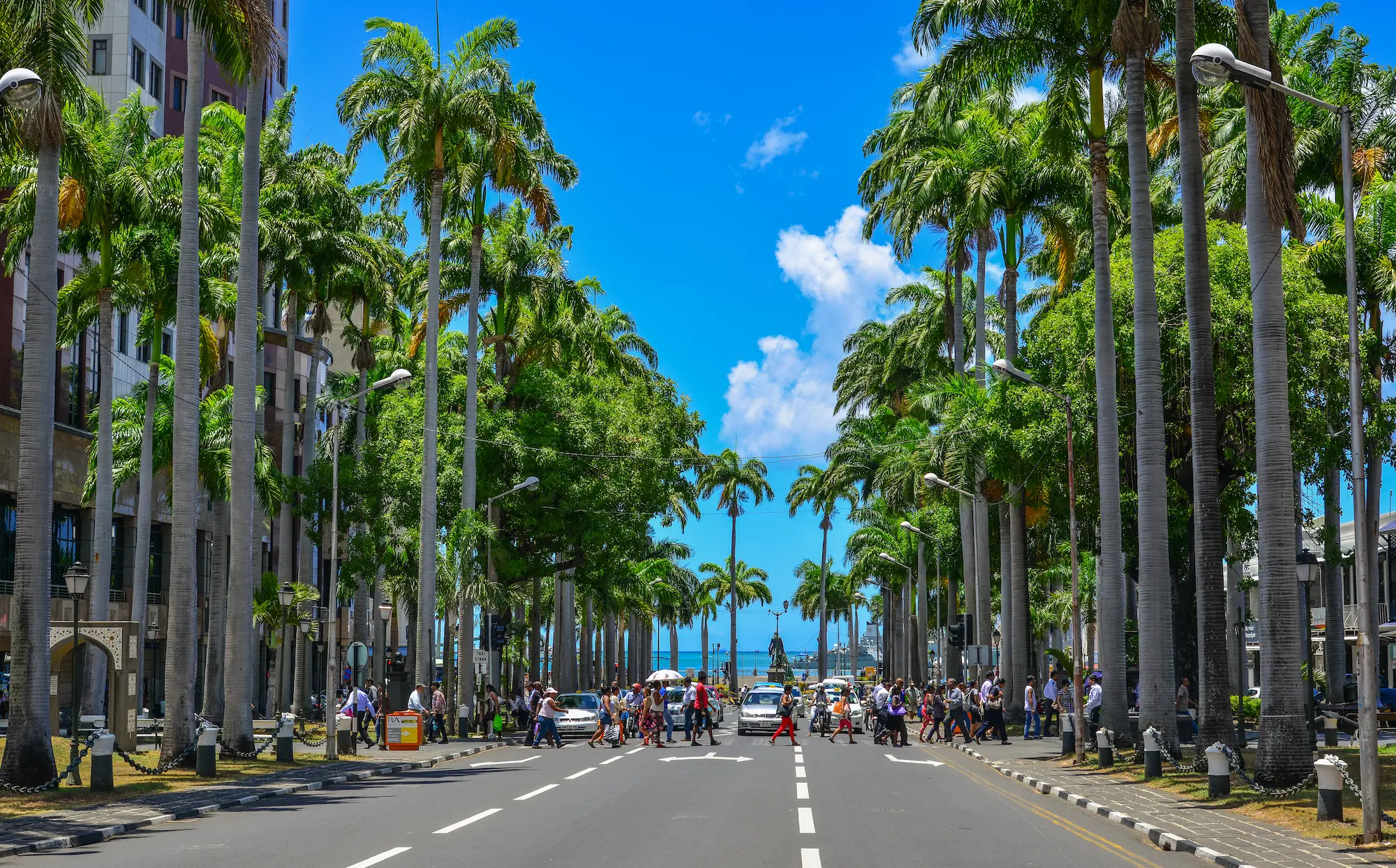 A main street, lined with palm trees, in Port Louis, Mauritius.
