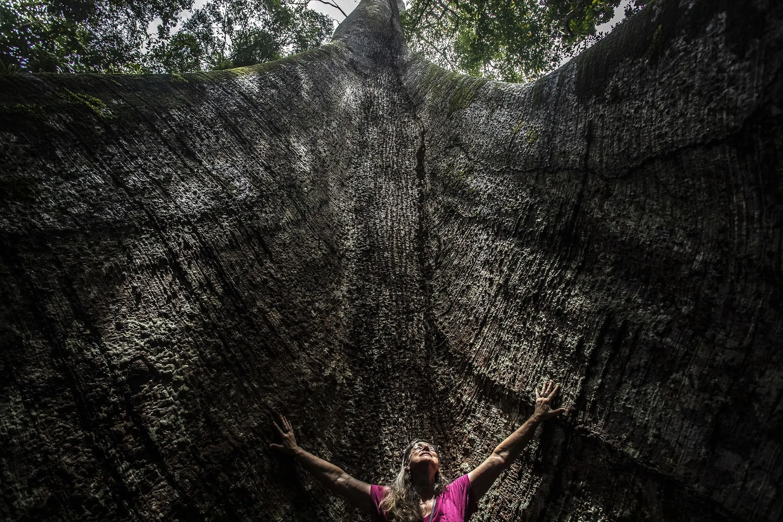 a woman poses near a tree