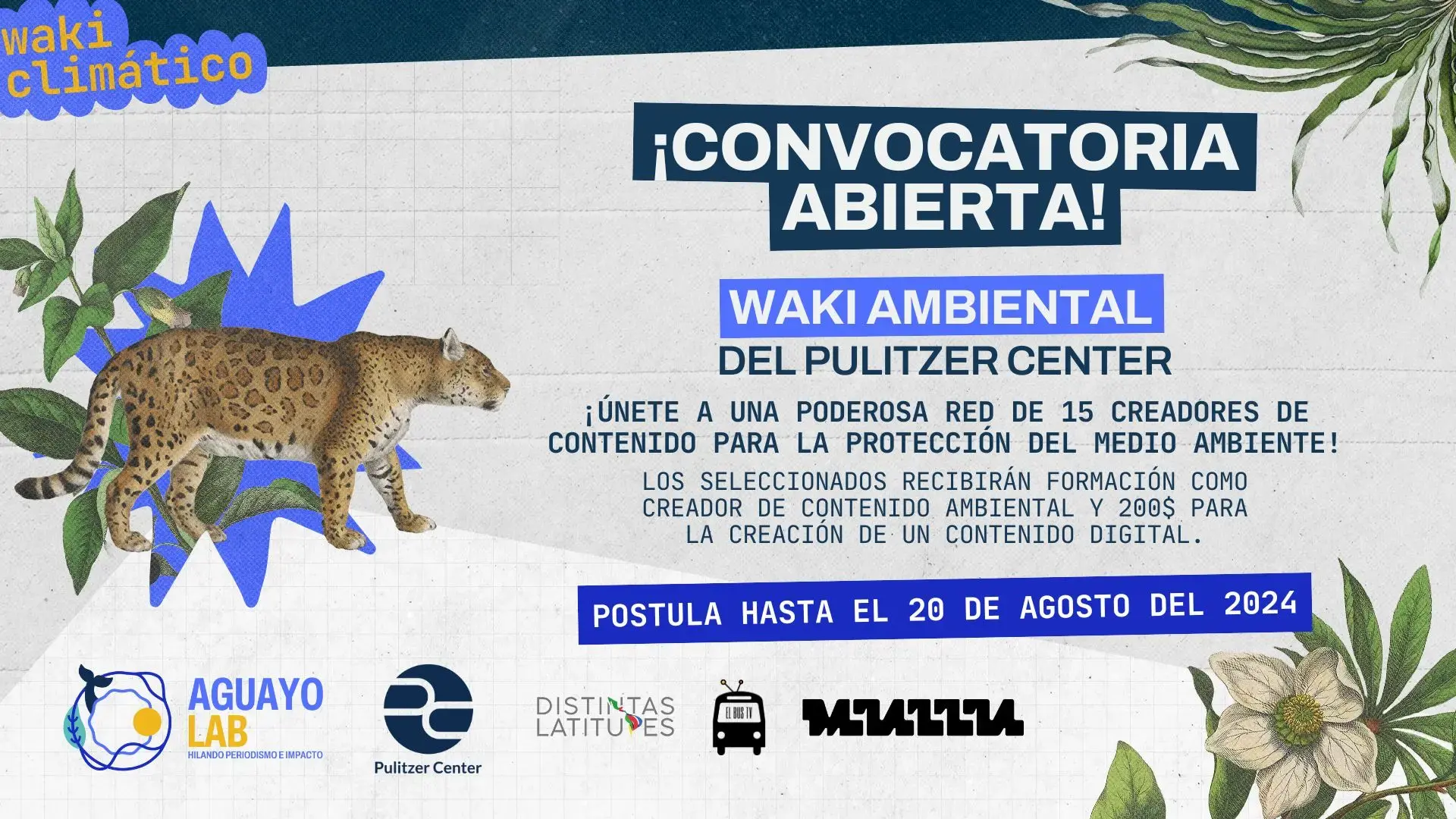 waki ambiental