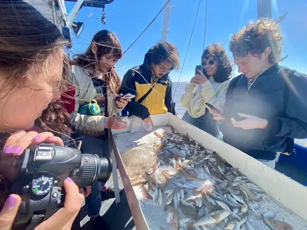 Several people, one holding a camera, gather around a table with fish spilled onto it. They are on a boat, wearing jackets, in daylight..