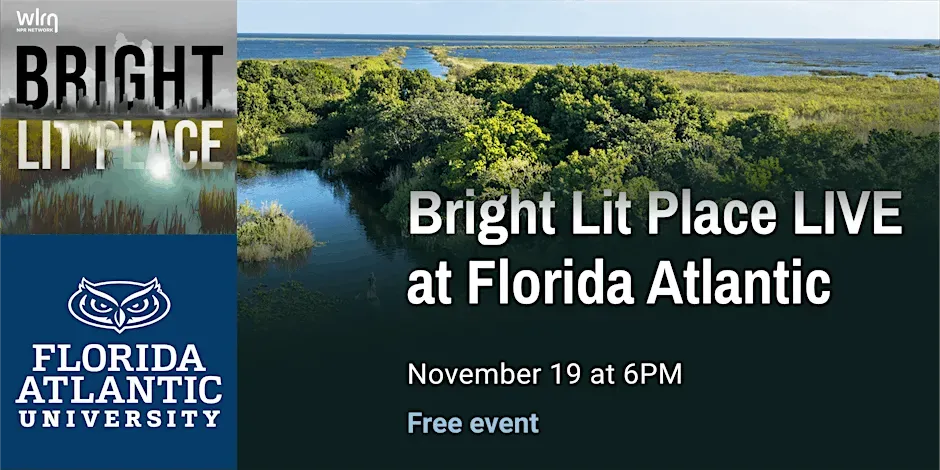 WLRN Bright Lit Place thumbnail