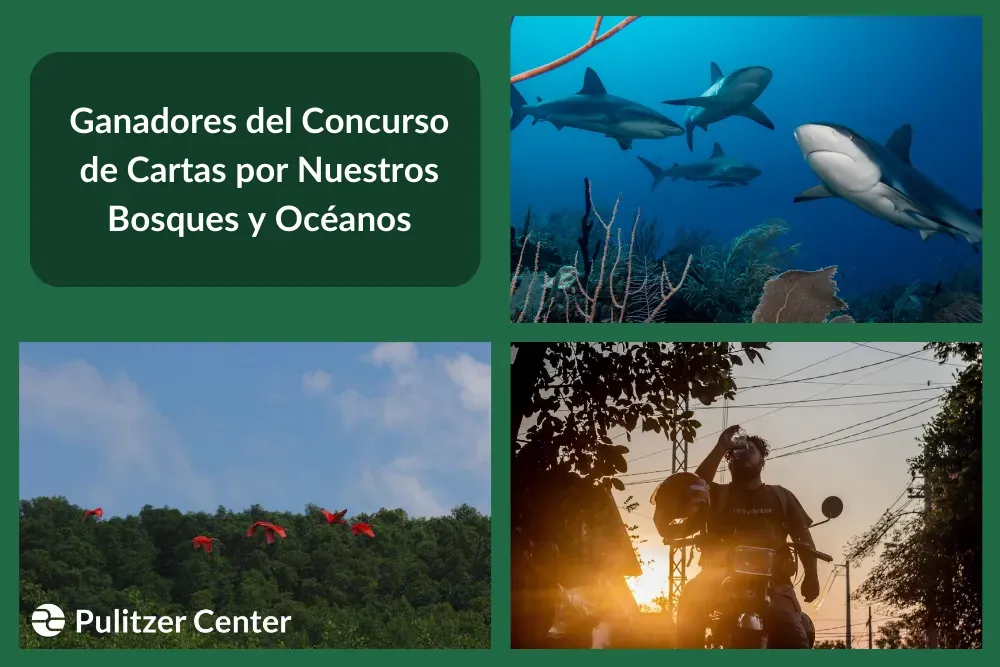 Ganadores del Concurso de Cartas por Nuestros Bosques y Océanos