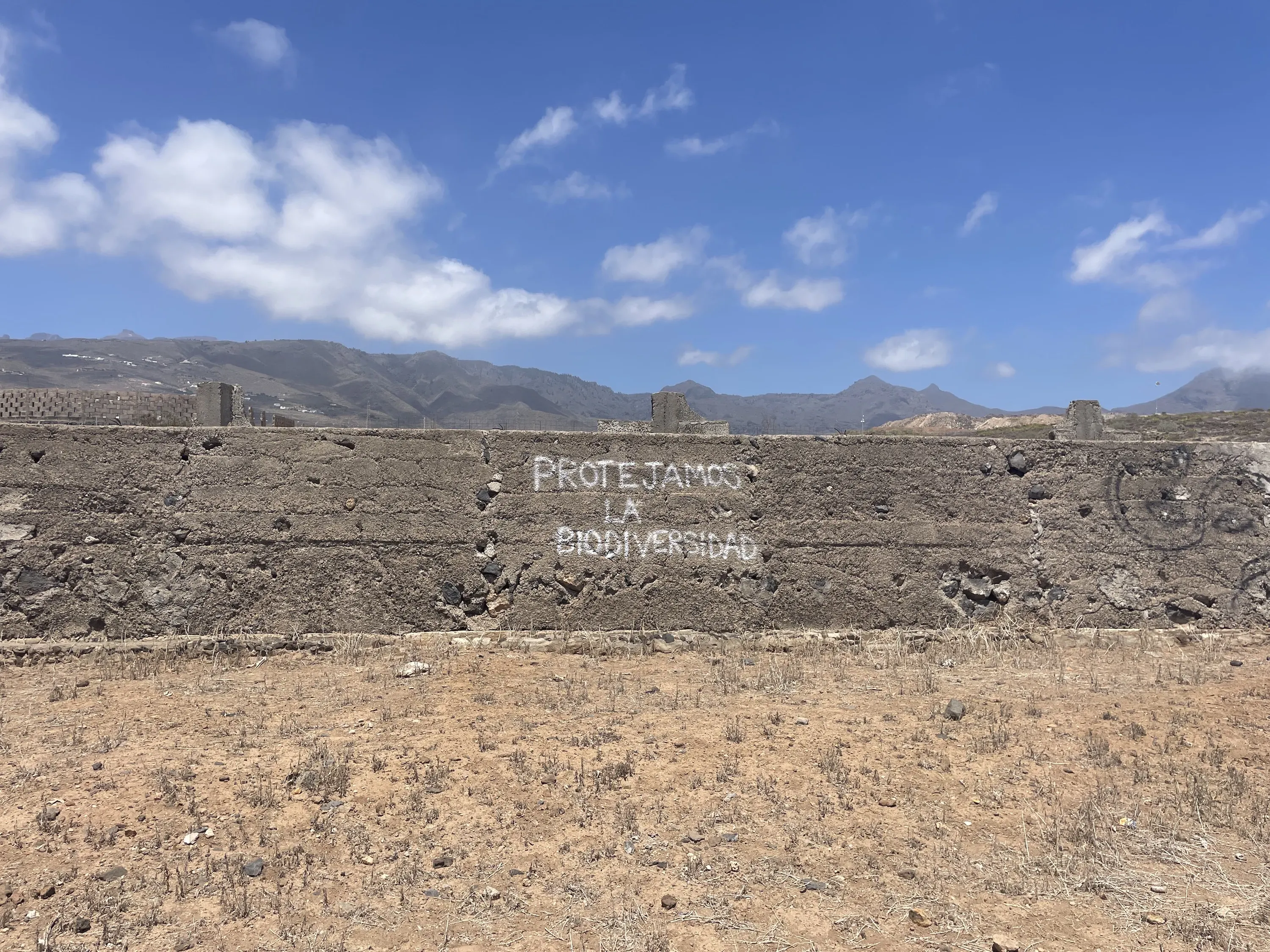 Vandalism near the Cuna del Alma construction site in Adeje, Tenerife reads "We protect biodiversity." Image by Brigid McCarthy. Spain, 2024.