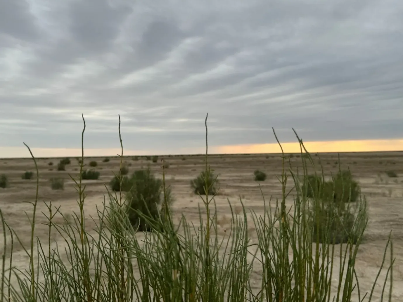 The parched bed of the Aral Sea. (Photo: Ekaterina Venkina)