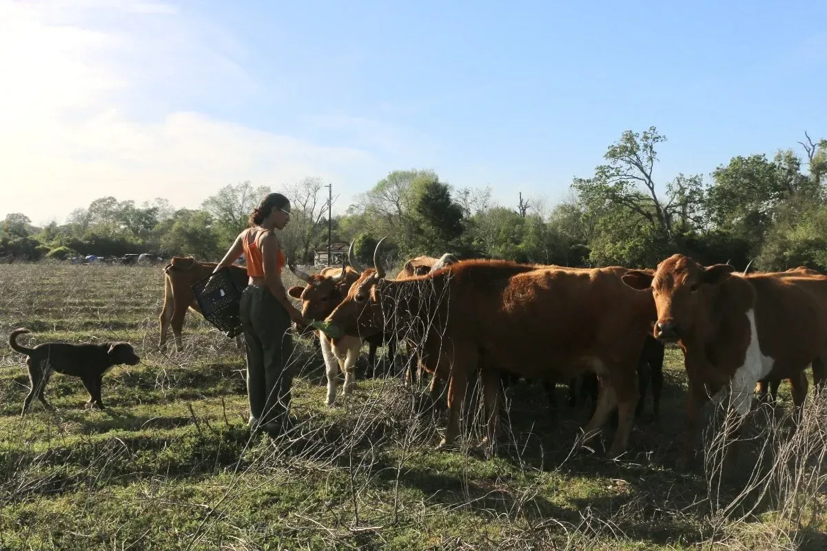 Kennady Lilly represents the eighth generation to tend her family’s 32-acre farm, Lillyland, in Hempstead, Texas. (Photo credit: Nicole J. Caruth)