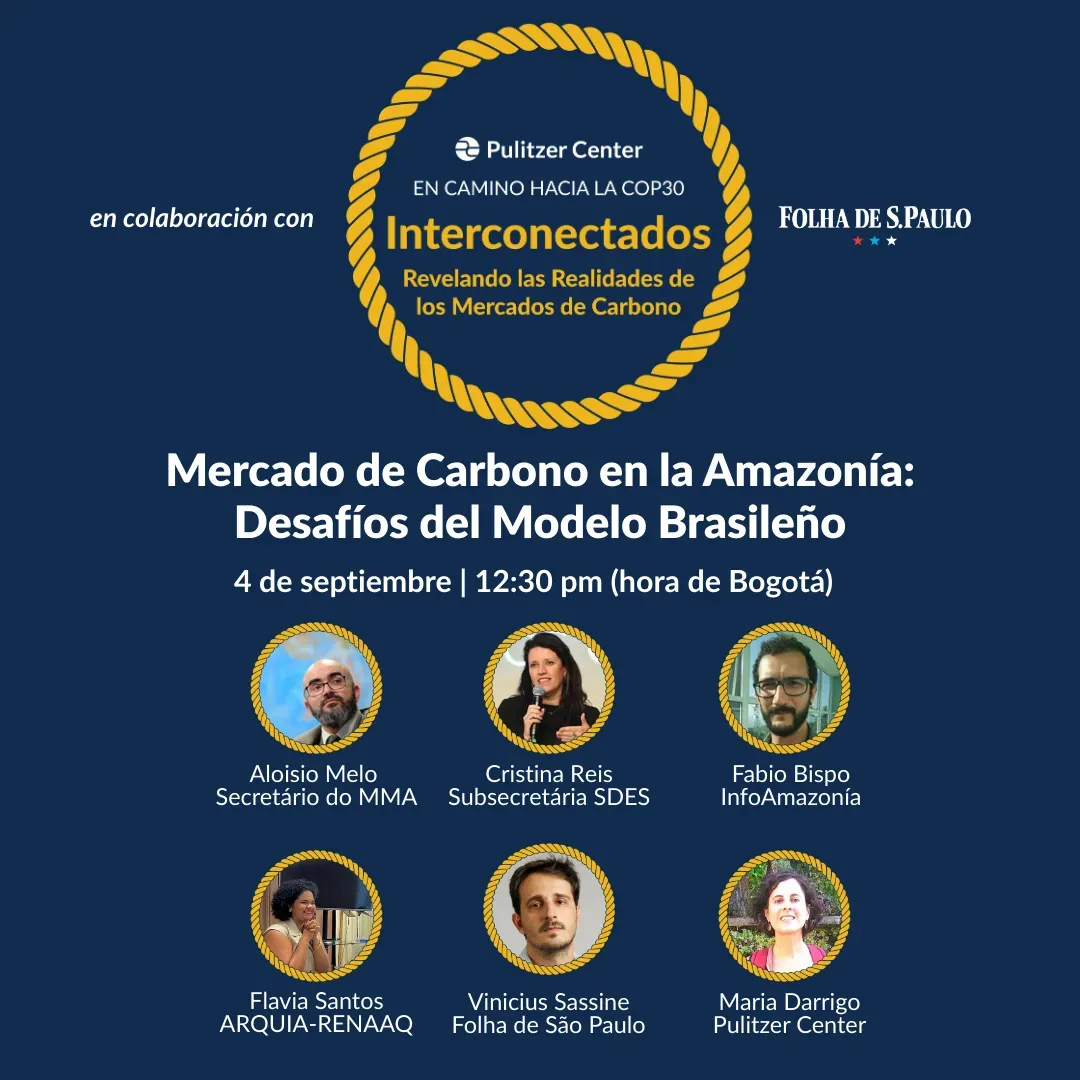 Mercado de Carbono en la Amazonía: Desafíos del Modelo Brasileño