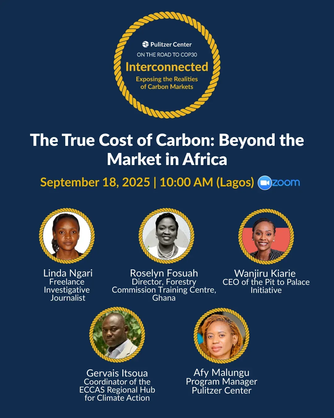interconnected africa