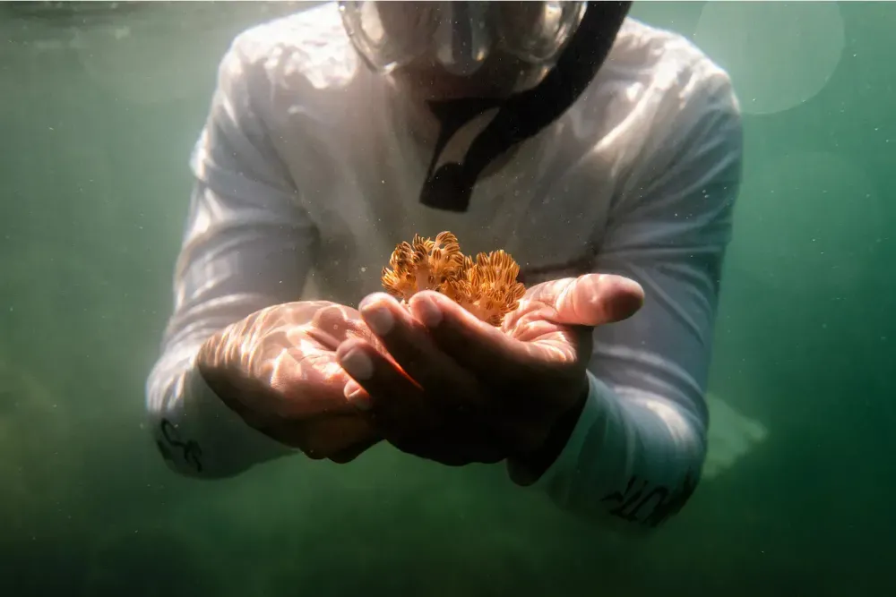 Biologist Jesús Subero