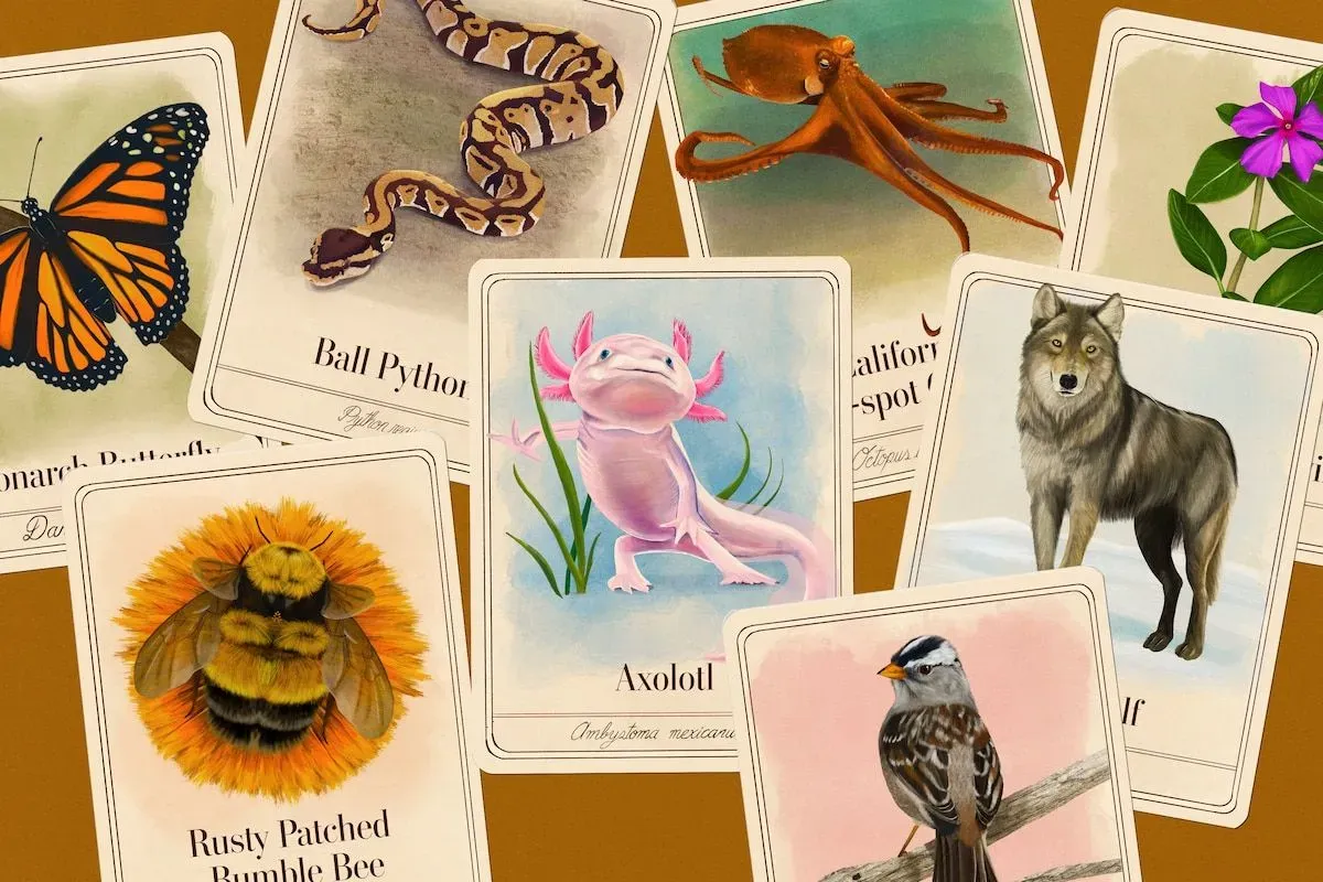 The 50 Species That Save Us