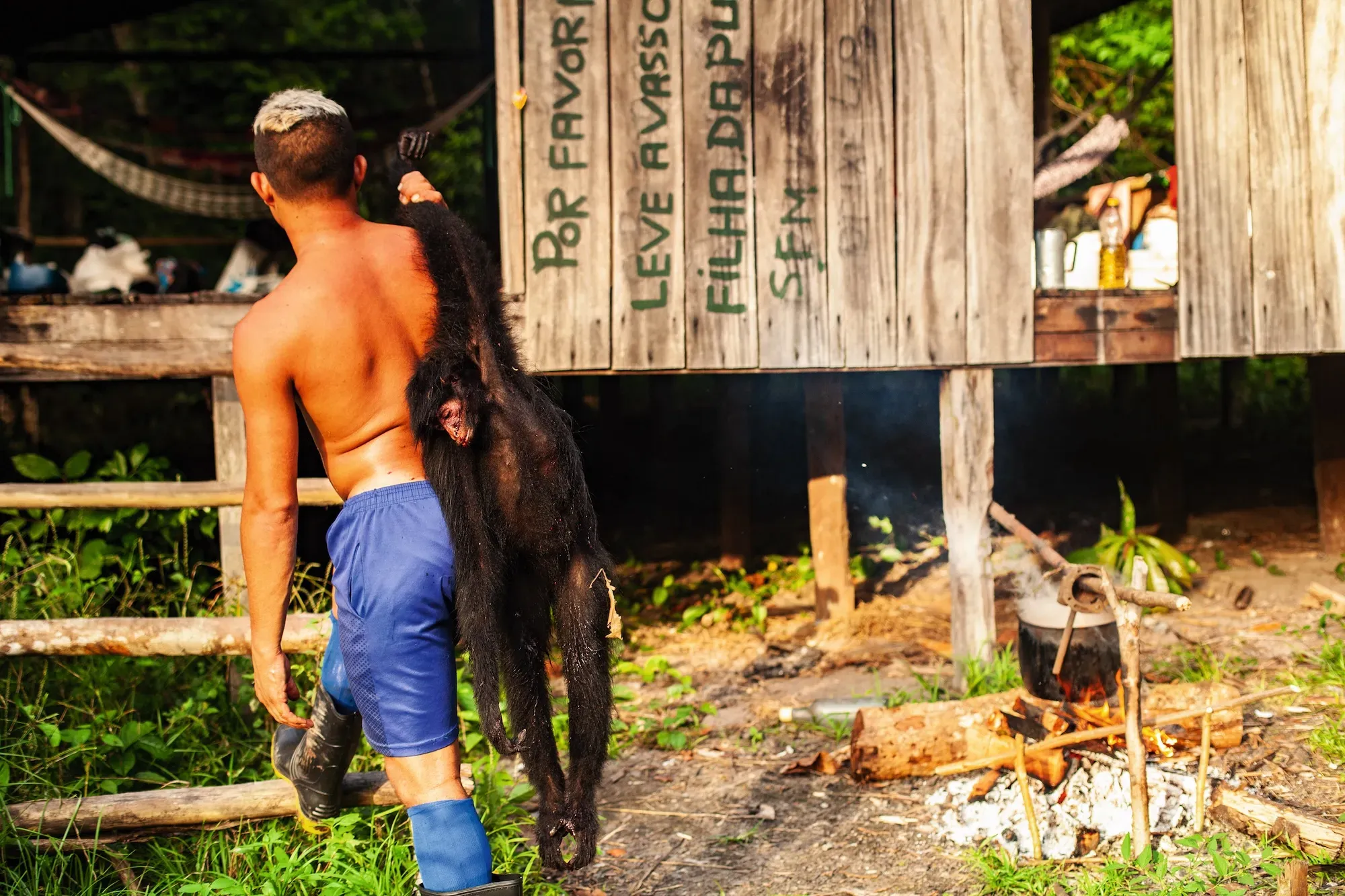 Na Reserva de Desenvolvimento Sustentável do Rio Iratapuru, no Amapá, a carne da caça controlada de animais silvestres ainda é fonte de proteínas para a população ribeirinha.