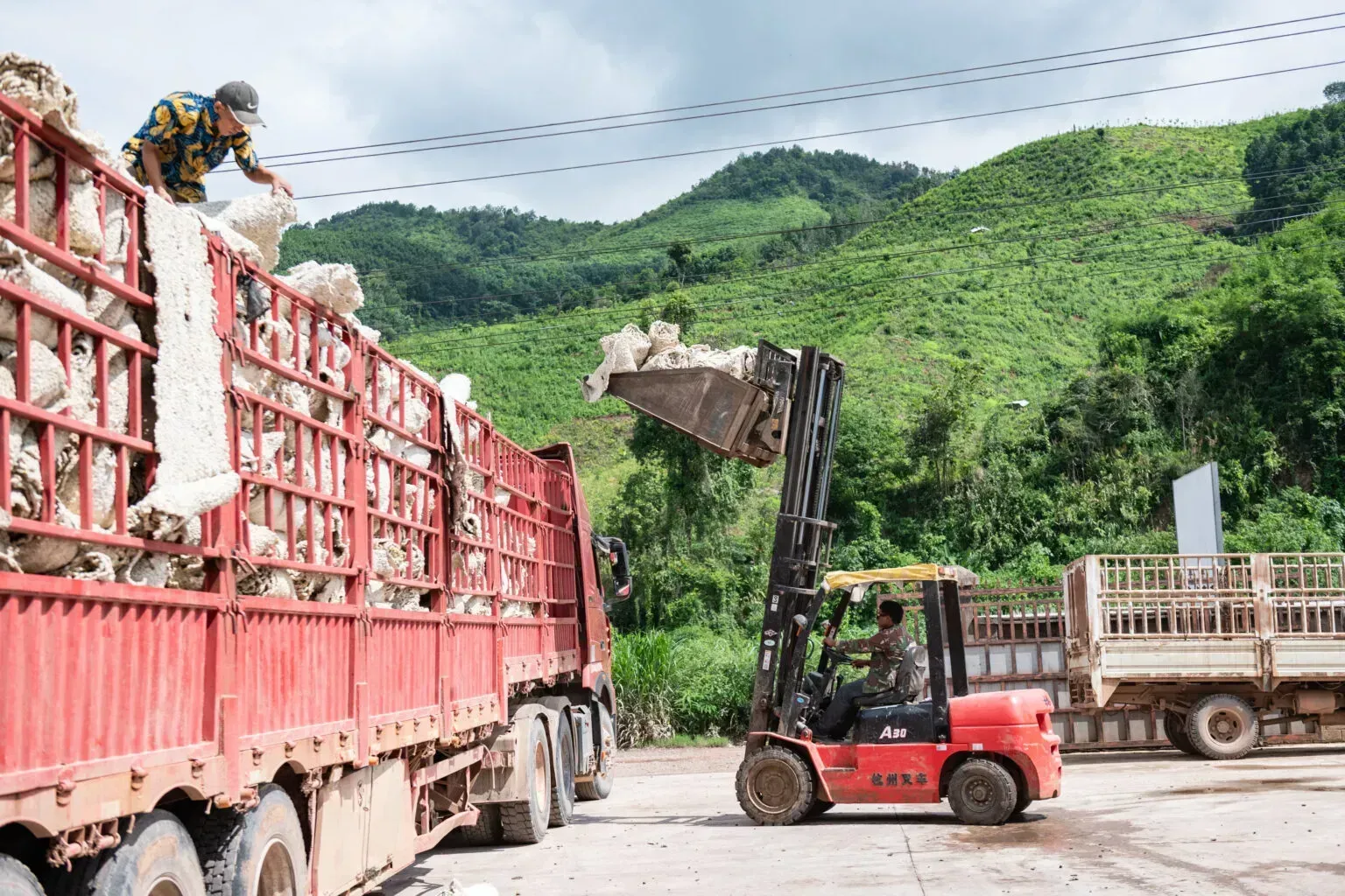 Workers load processed rubber at a Chinese-owned factory in Long District, northern Luang Namtha Province, Laos. The rubber industry in northern Laos is largely shaped by contract farming schemes with Chinese rubber companies. Image by Thanh Hue.