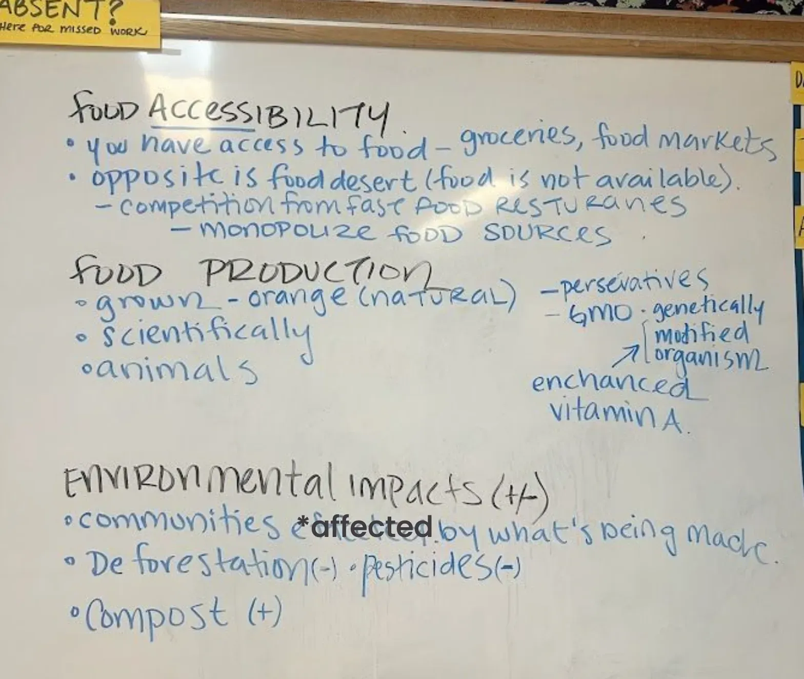 photograph of white board capturing student brainstorming words associated with food systems