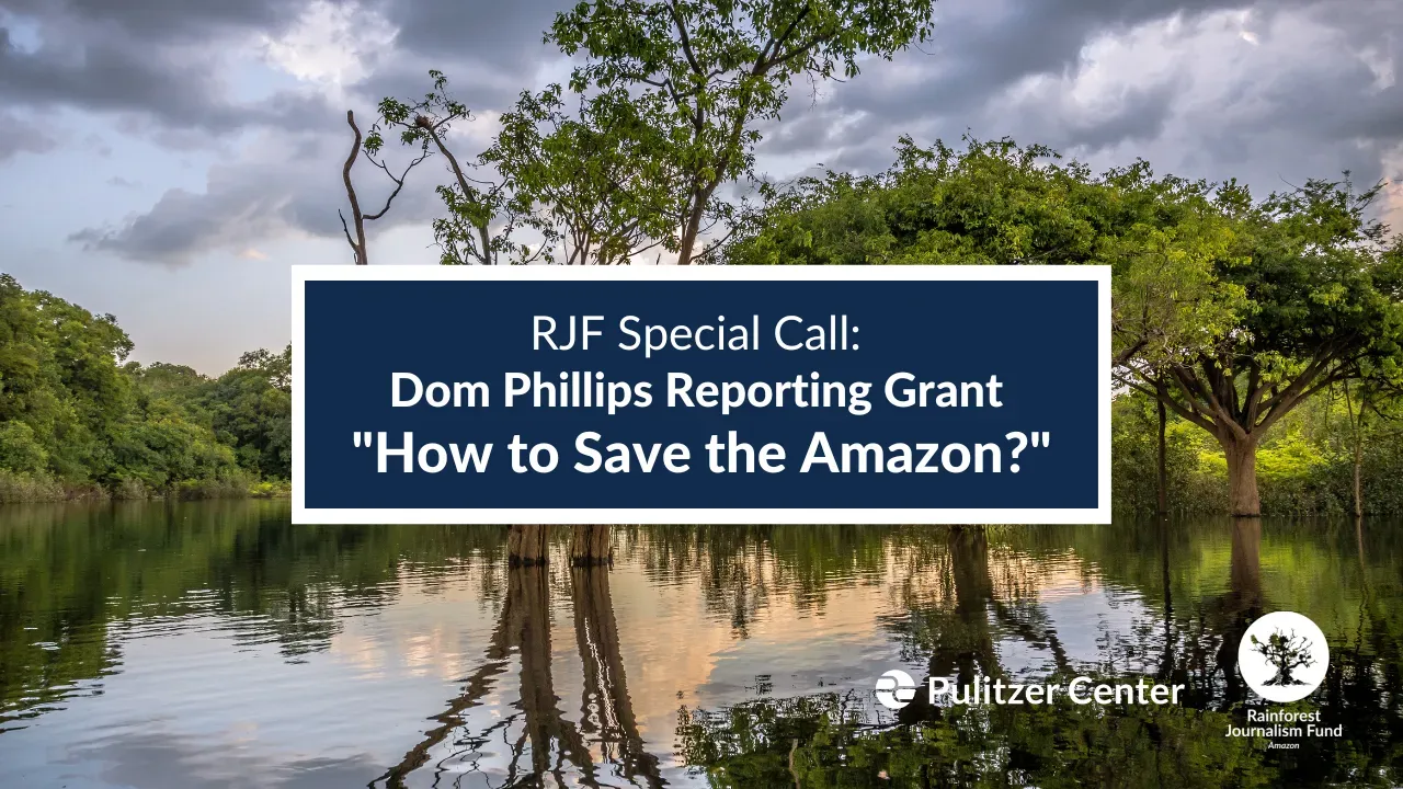 How to save the amazon