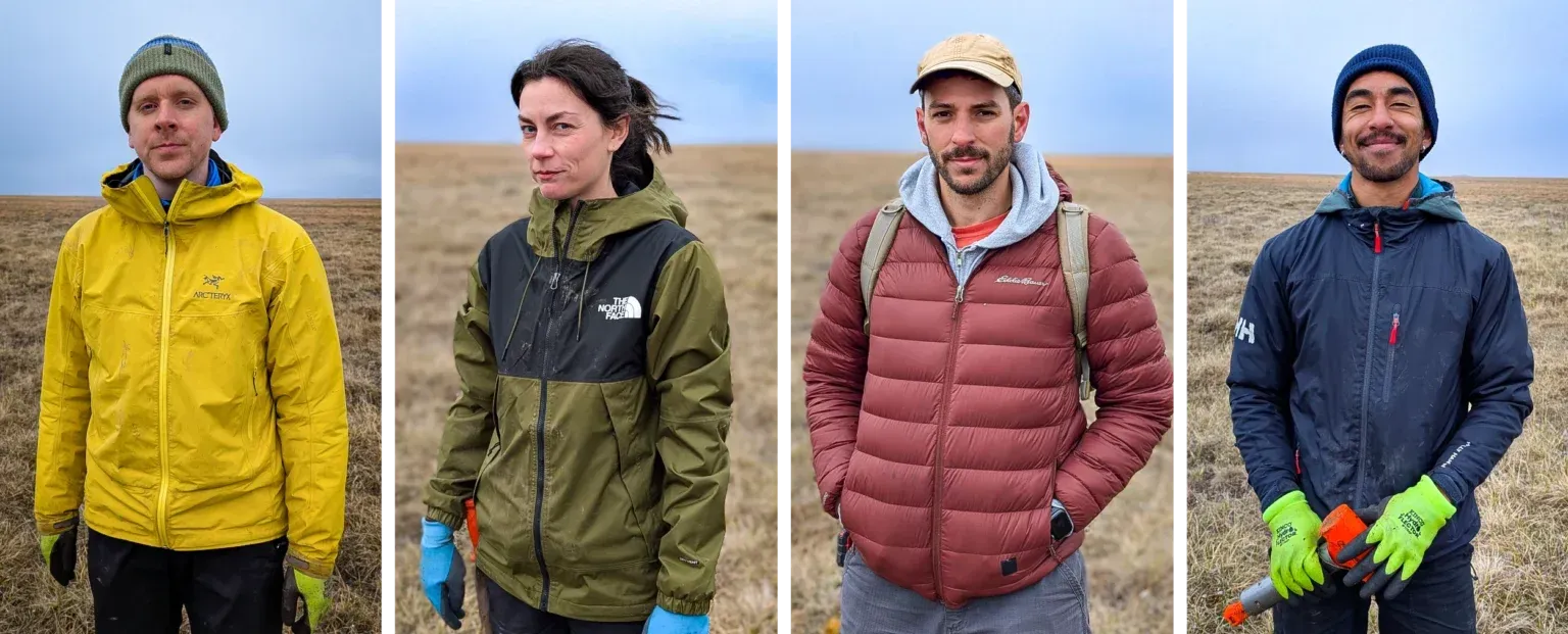 Biologists hammer a steel tube into the ground to collect a soil sample. Dozens of such samples taken from northern Alaska will reveal whether this place is a global hot spot of rare species of mycorrhizal fungi.