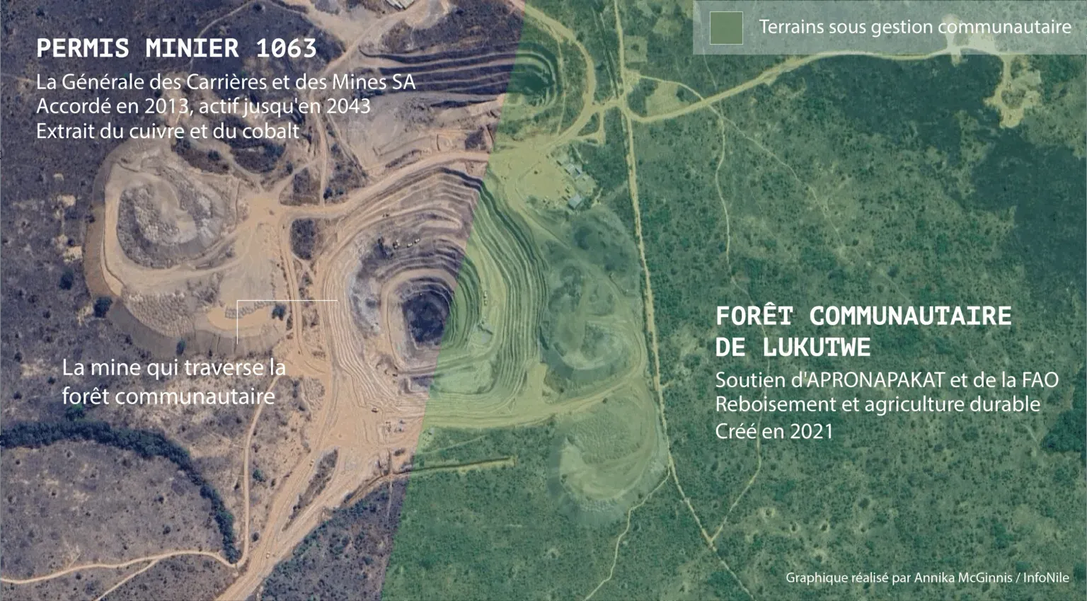 Satellite image of an open pit mine on the edge of a community forest to extract copper and cobalt