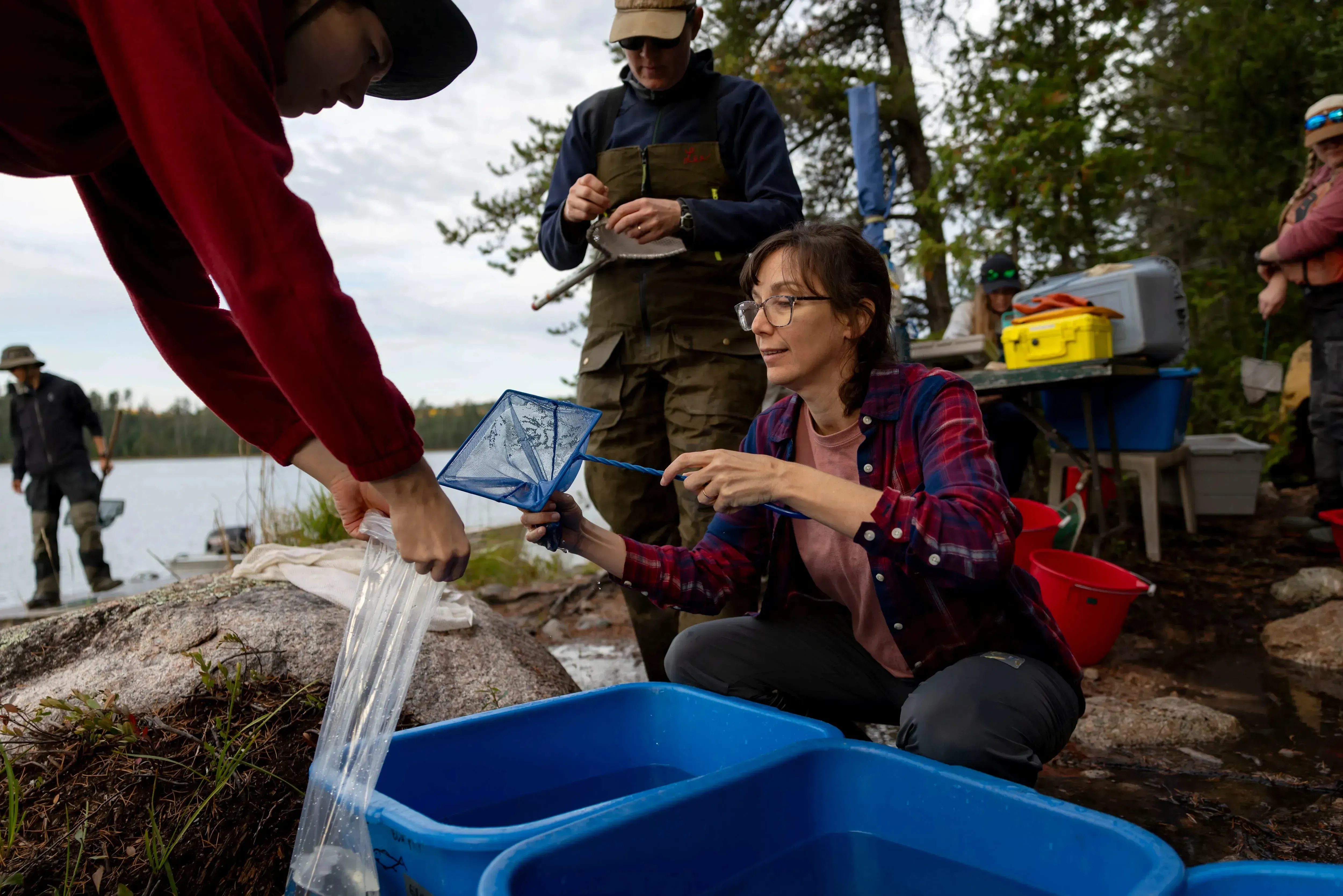 Chelsea Rochman, center, and Meredith Omer, left, collect samples of northern pearl dace for research at the Experimental Lakes Area on Oct. 1, 2025. From the story “As Microplastics Pollute Every Corner of the Great Lakes, Scientists Push Governments To Combat Threat ” Image by Brian Cassella/Chicago Tribune. Canada, 2025.