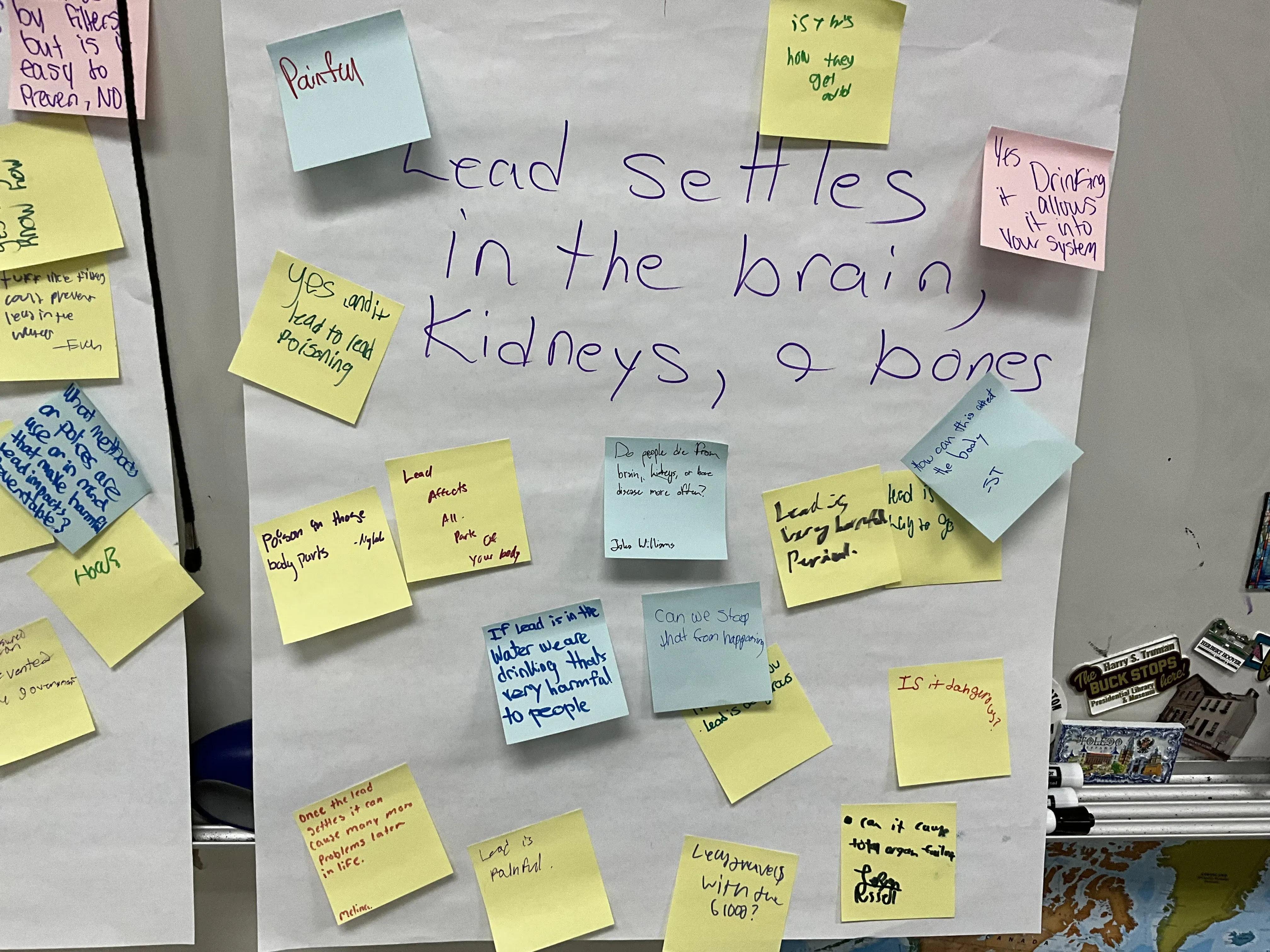 Lead settles in the brain, kidneys, and bones