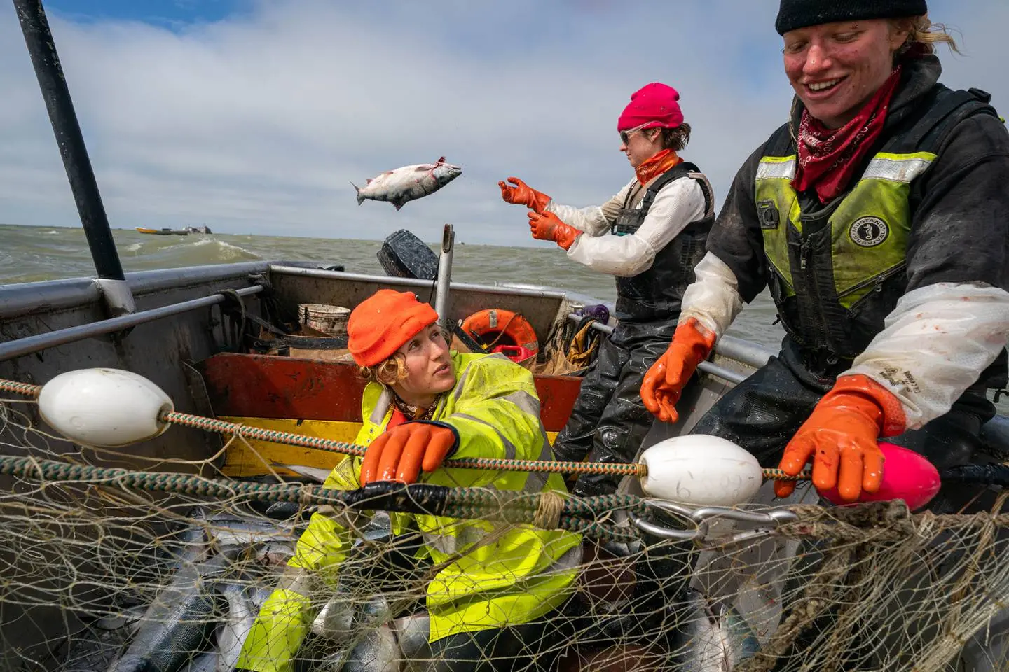 Two fishers tend to nets while a third throws a salmon overboard. They wear orange protective gloves.