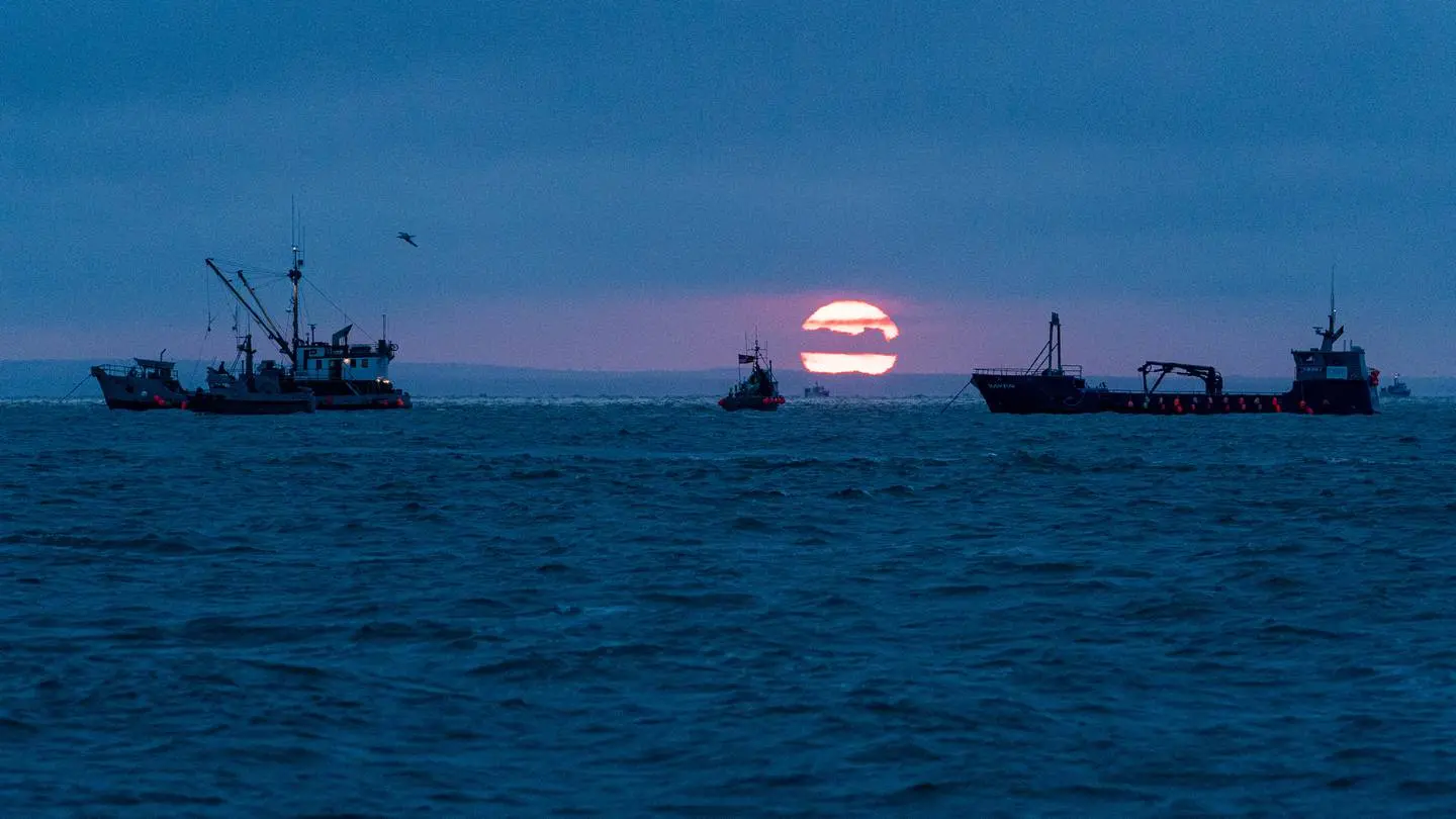 a large, pink sun sets along a mountainous horizon as ships sit in the waters of the bay. The sky is a deep blue, as is the water.