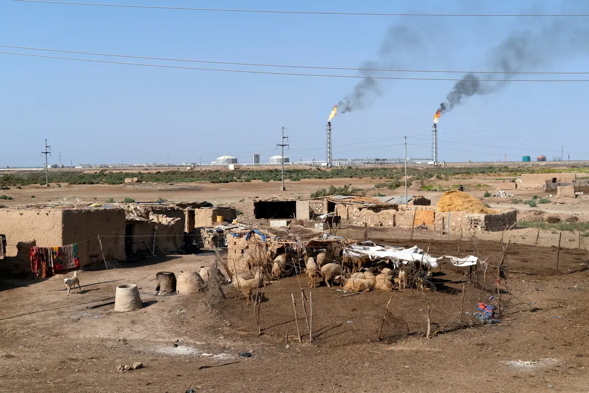 Water Crisis in Focus: Streams Run Dry in Southern Iraq