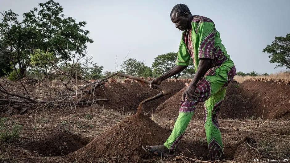 A man digs an agricultural trench.