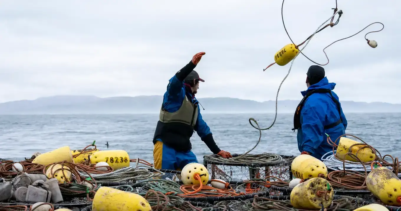 Alaska Shrimp Pots open for business