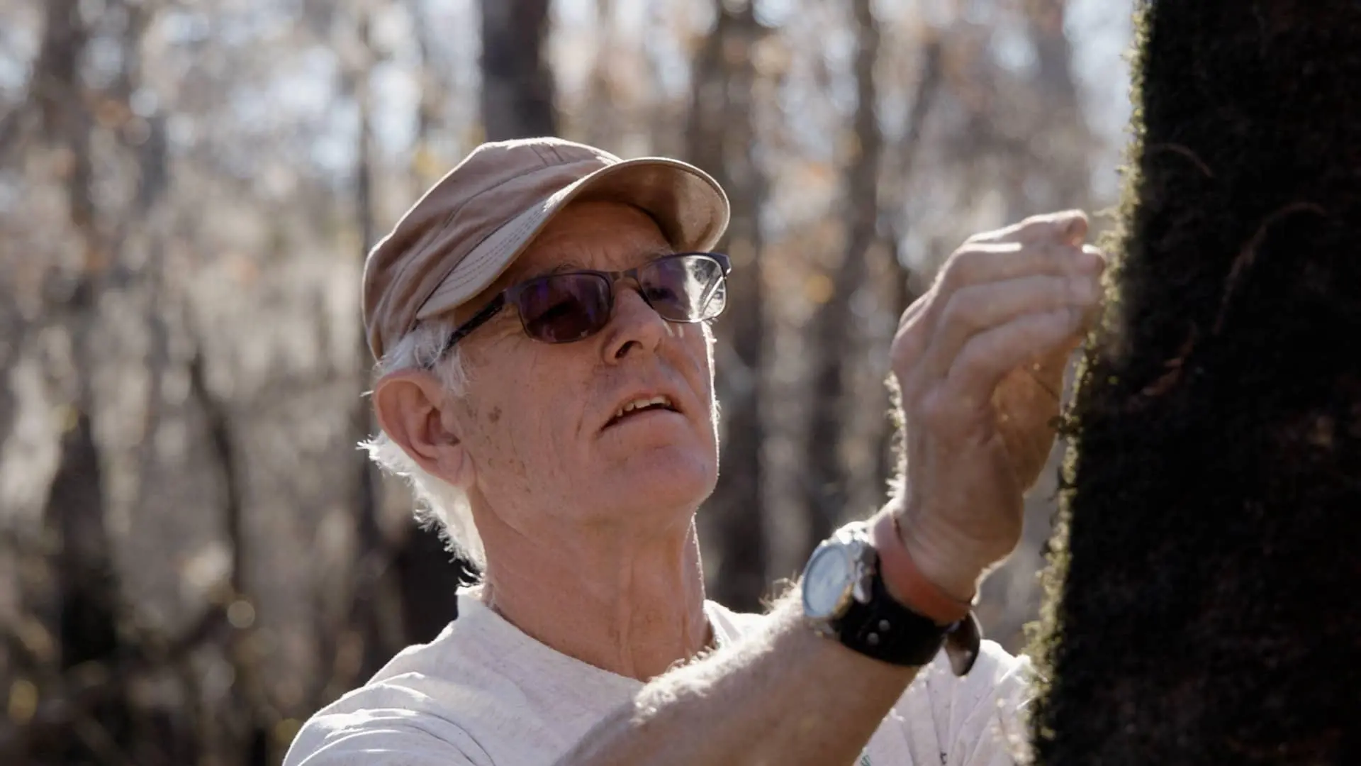 A man puts his fingers up to a tree