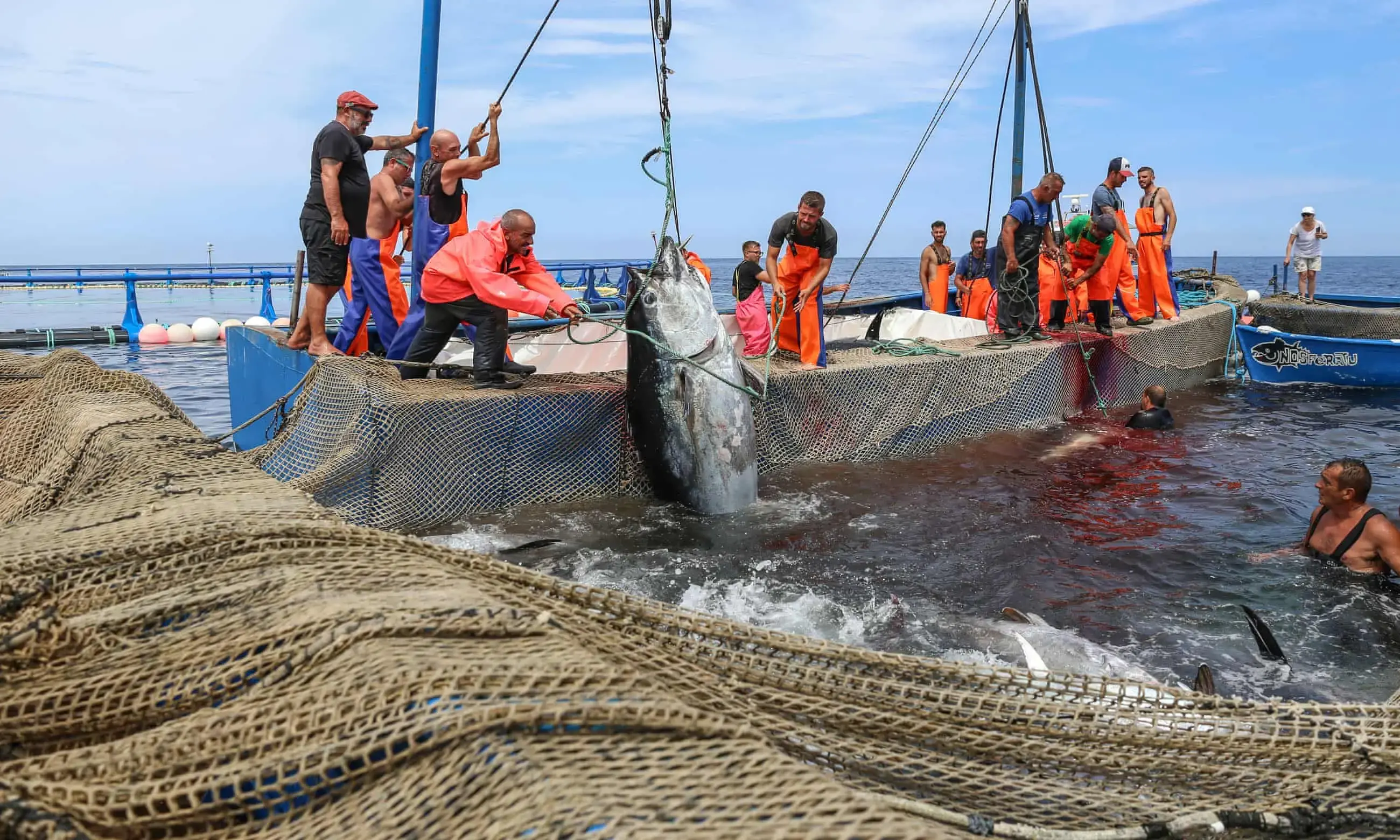 Premium Photo  Big fish jumped over fishing net image AI