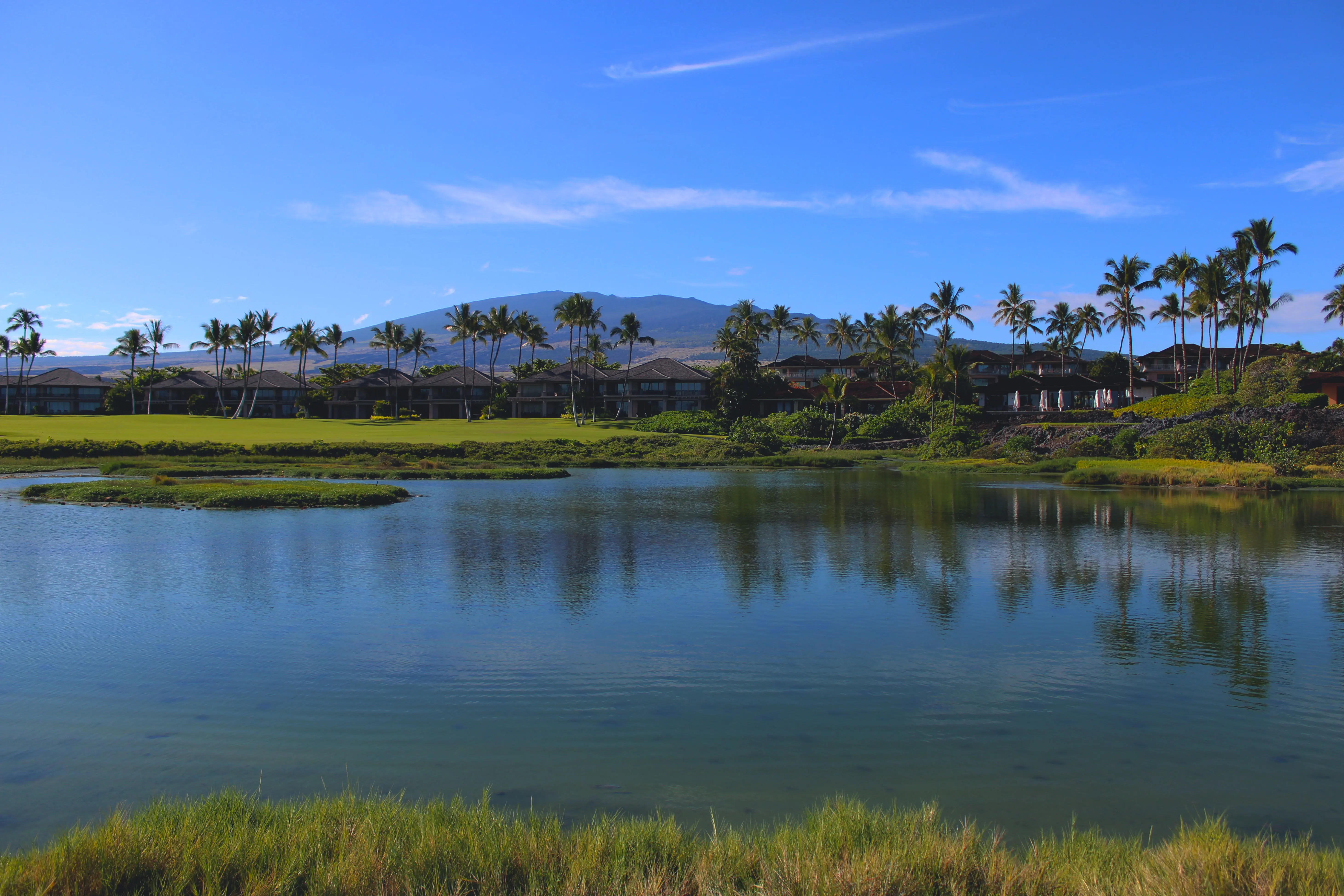 fishpond in Hawaii