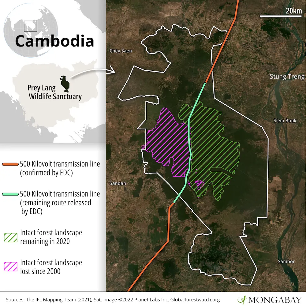 A map shows that Prey Lang Wildlife Sanctuary contains Cambodia’s last intact forest landscape (IFL), which is a tract of old growth forest that is large and undisturbed enough to retain its original biodiversity levels. While much of the planned route for the power lines skirts through a previously degraded portion of the IFL, the northern segment pierces a portion that was remaining as of 2020.