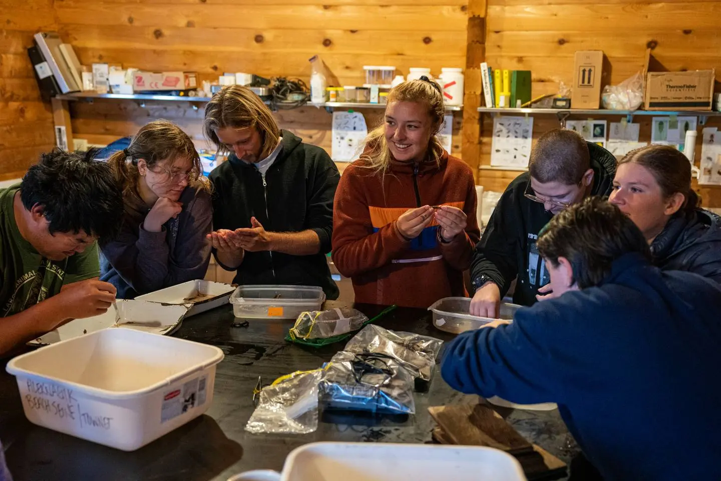 Seven young people inside a wood-lined room stand around a table and observe something small inside of Tupperware containers. 