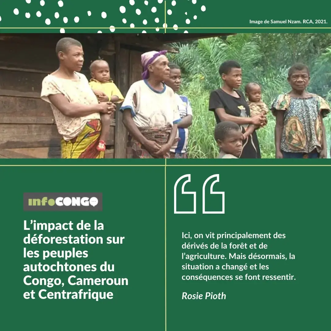 Title: The Consequences of Deforestation on the Indigenous Peoples of Congo, Cameroon and CAR. Quote: “Here, people live mainly from the forest and agriculture. But now, the situation has changed and the consequences are felt.
