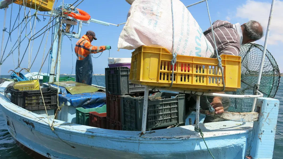 The Human 119 Fishing Dock Workers (Fishing Port People) (Model