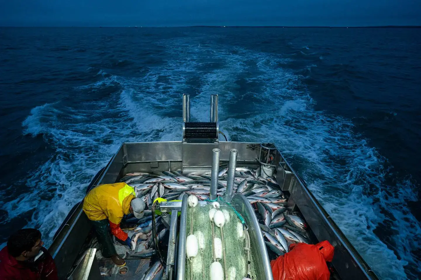 Villages lose lucrative Bristol Bay fishing permits to Alaska cities, WA