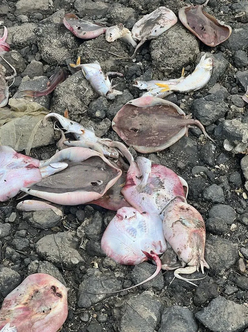 The Untold Story of NotPetya, the Most Devastating Cyberattack in History |  WIRED, image size:856x1142