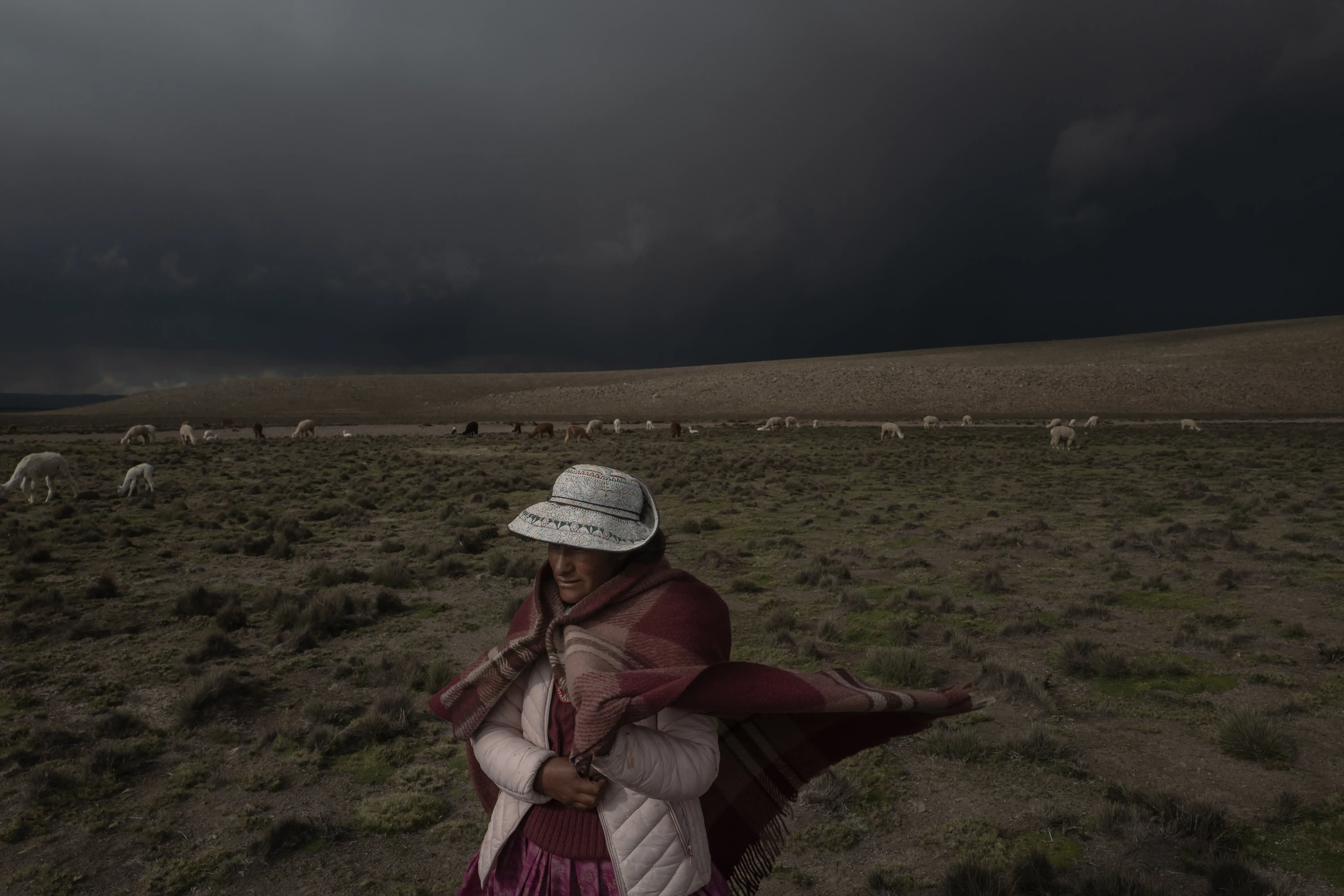 GUANTES NIEVE ADULTO - Andean