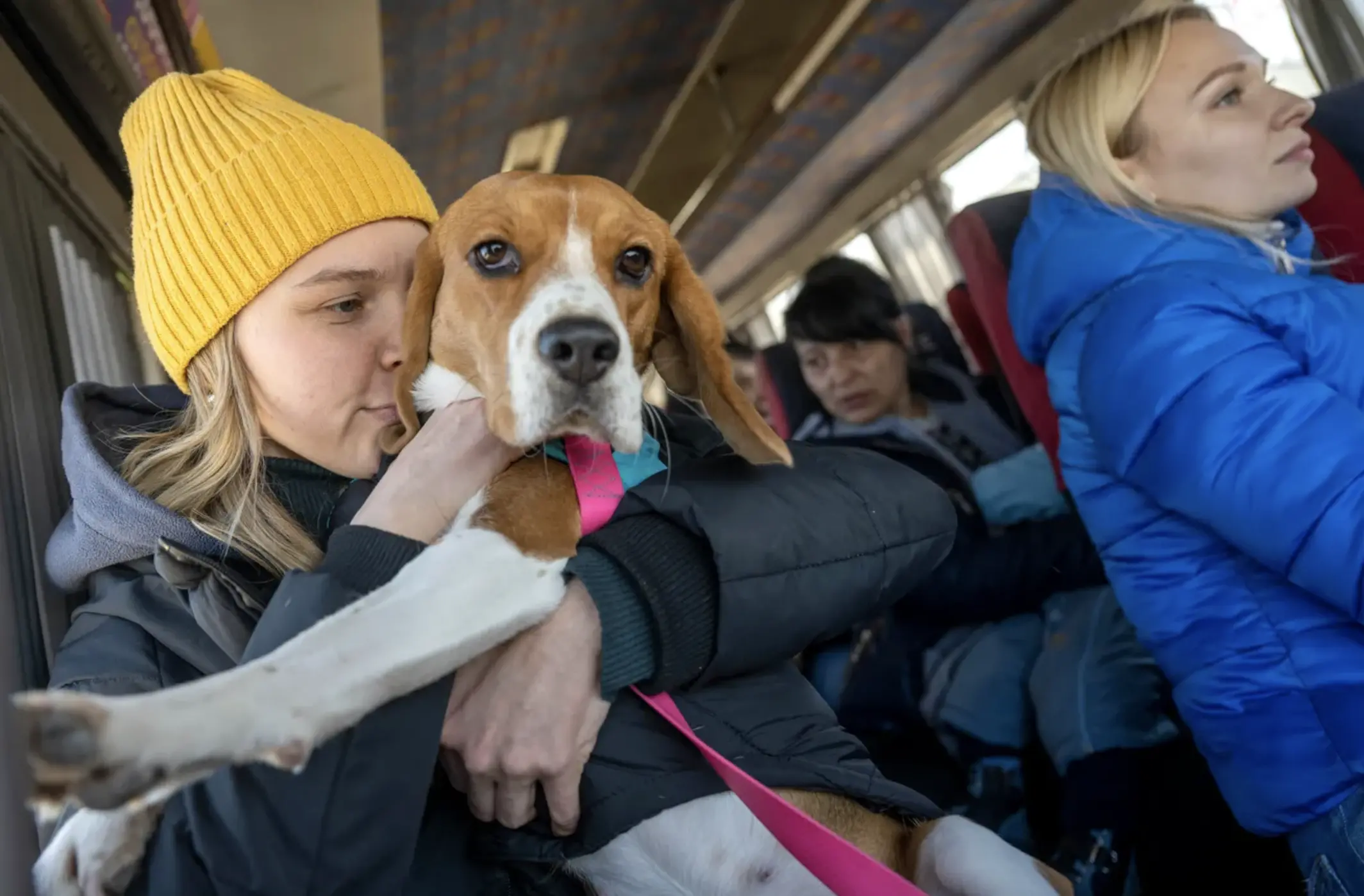 Women clutches dog on a bus