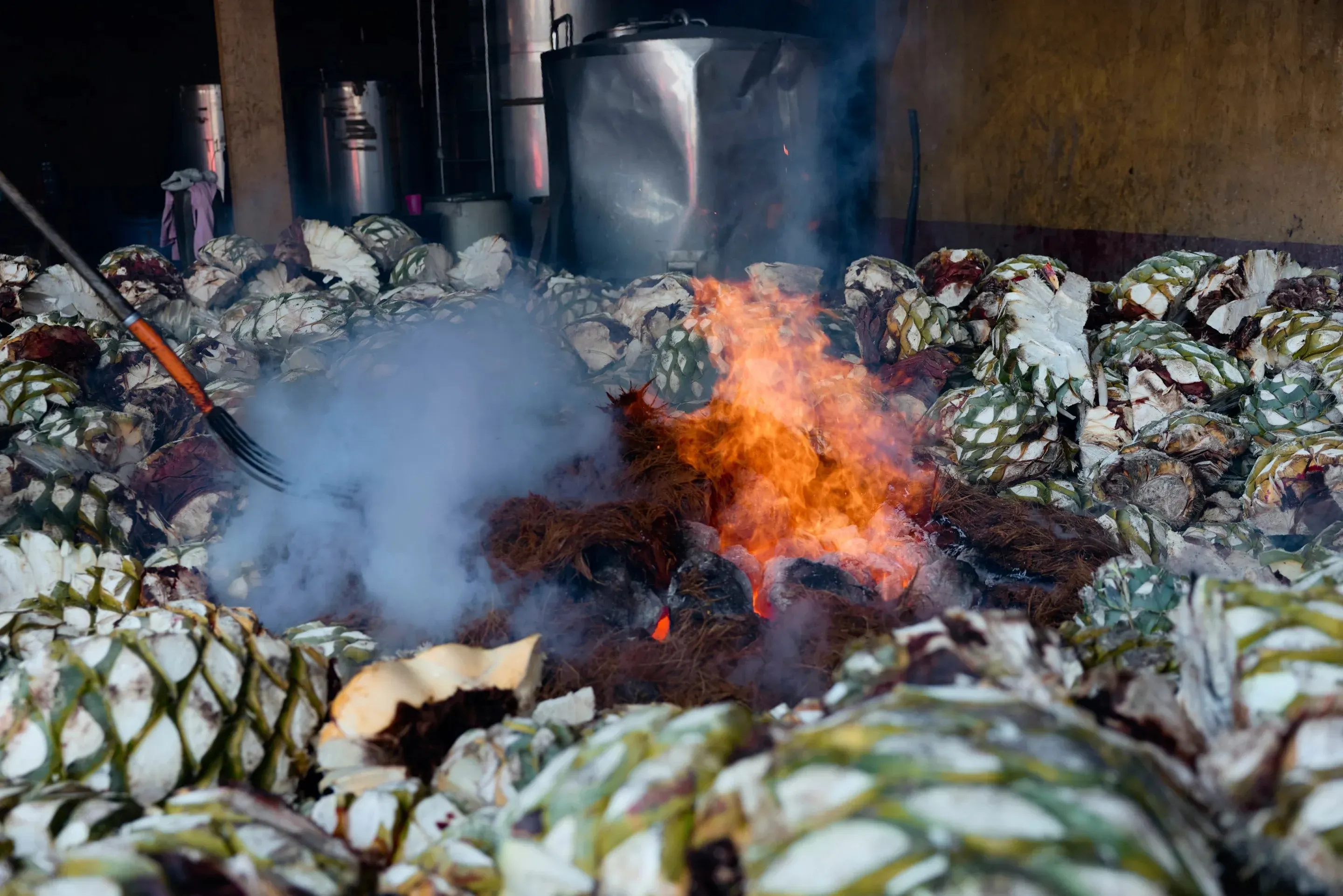 See How Mezcal Is Made in Mexico | Pulitzer Center