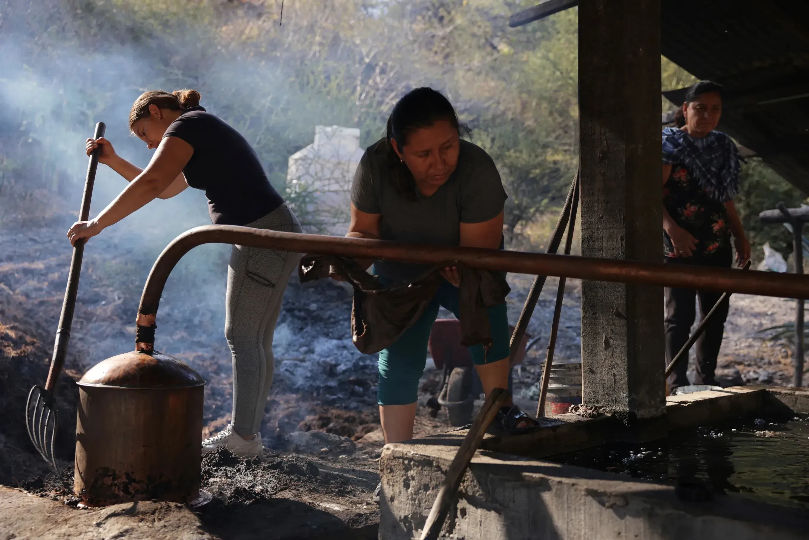 See How Mezcal Is Made in Mexico | Pulitzer Center