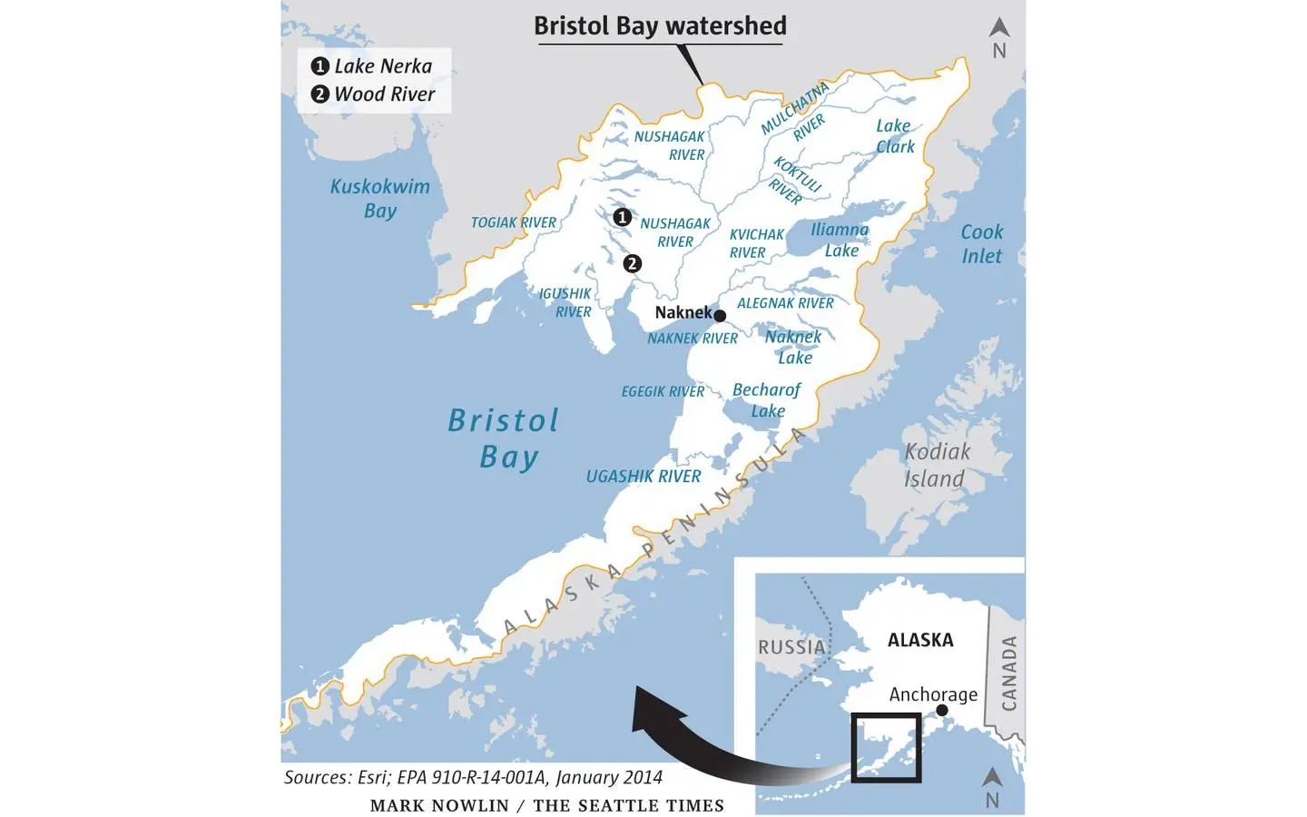 Bristol Bay Watershed map in southern Alaska showing the Alaskan peninsula and the main river and lake systems that make up the salmon's breeding habitat. Lake Nerka, Wood River, and the Naknek settlement are prominent on the map. 