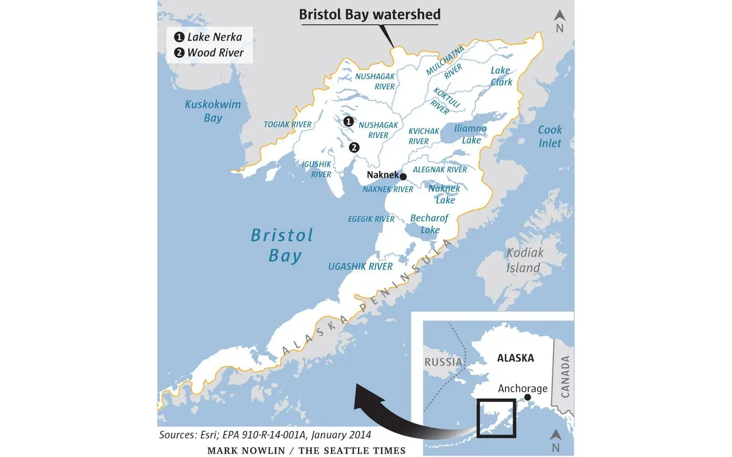 Bristol Bay Watershed map in southern Alaska showing the Alaskan peninsula and the main river and lake systems that make up the salmon's breeding habitat. Lake Nerka, Wood River, and the Naknek settlement are prominent on the map.