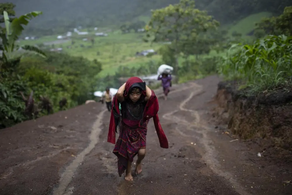 Girl walks with wood on her back