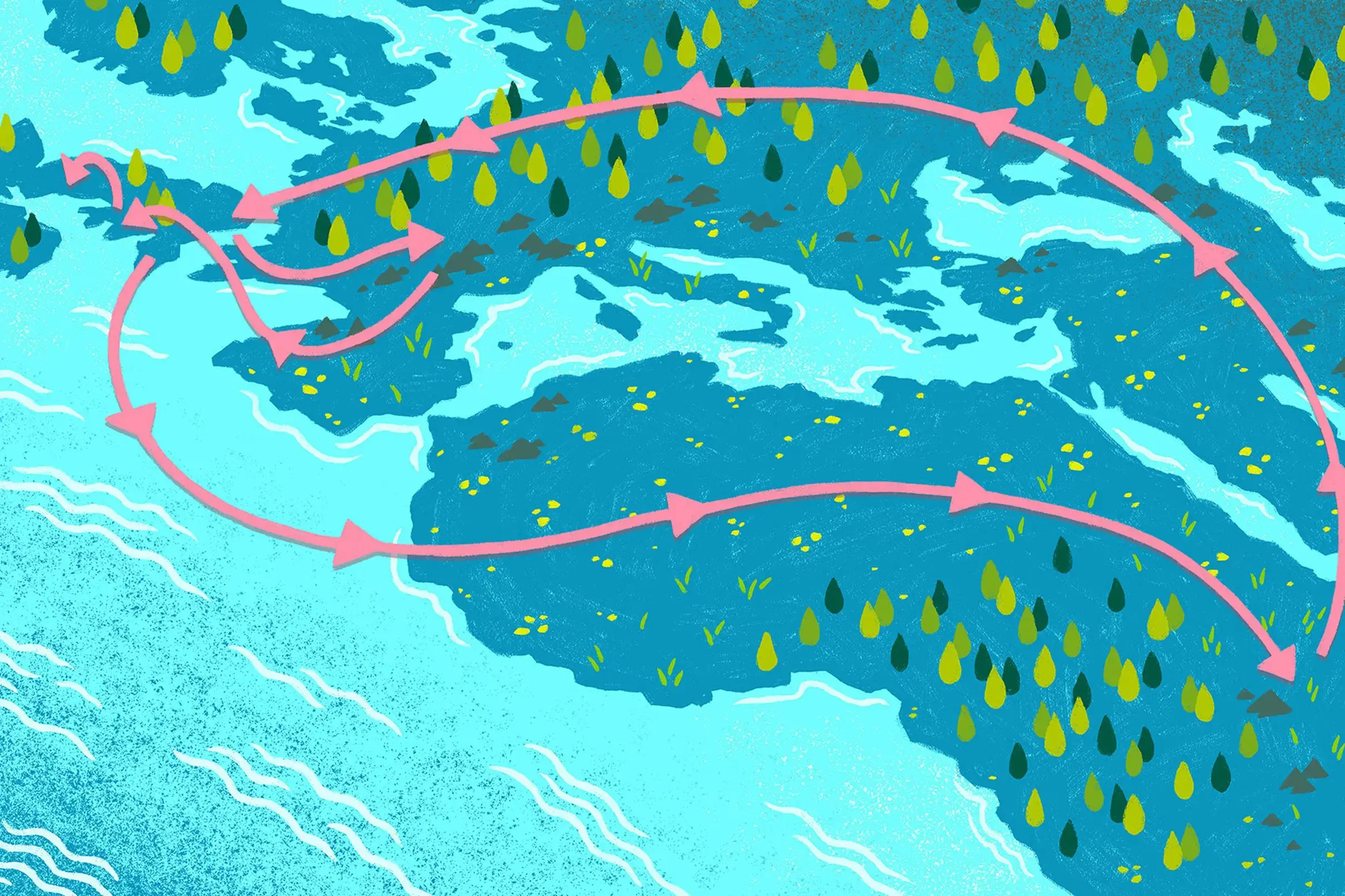 Are Carbon Offsets All They're Cracked Up To Be? We Tracked One From Kenya  to England To Find Out.